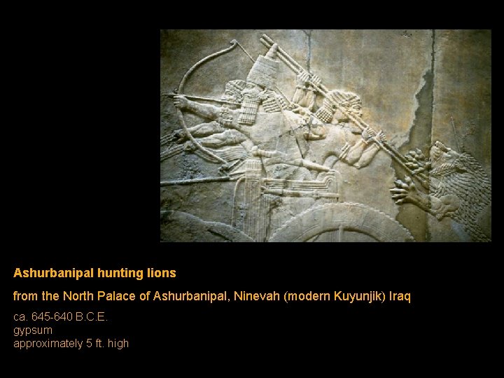 Ashurbanipal hunting lions from the North Palace of Ashurbanipal, Ninevah (modern Kuyunjik) Iraq ca. Ashurbanipal hunting lions from the North Palace of Ashurbanipal, Ninevah (modern Kuyunjik) Iraq ca.