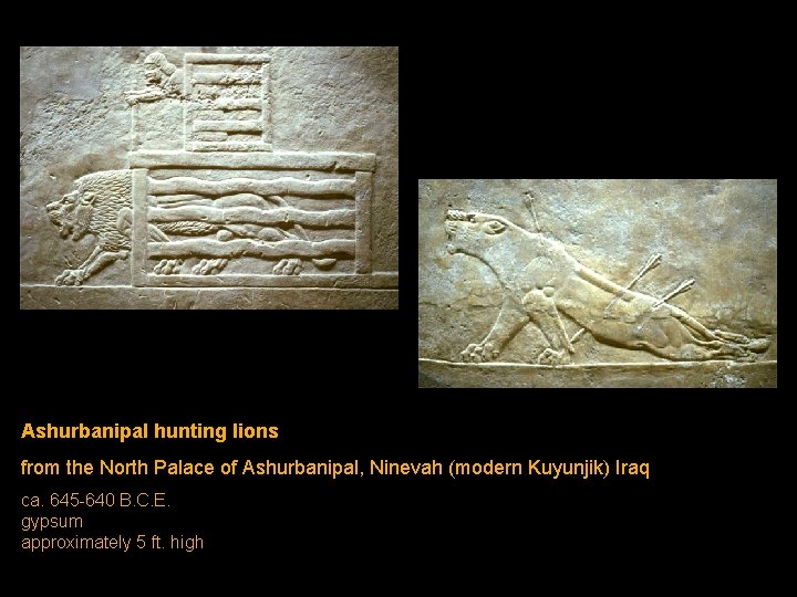 Ashurbanipal hunting lions from the North Palace of Ashurbanipal, Ninevah (modern Kuyunjik) Iraq ca. Ashurbanipal hunting lions from the North Palace of Ashurbanipal, Ninevah (modern Kuyunjik) Iraq ca.