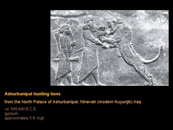 Ashurbanipal hunting lions from the North Palace of Ashurbanipal, Ninevah (modern Kuyunjik) Iraq ca. Ashurbanipal hunting lions from the North Palace of Ashurbanipal, Ninevah (modern Kuyunjik) Iraq ca.
