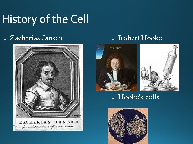 ● Zacharias Jansen ● Robert Hooke ● Hooke's cells 