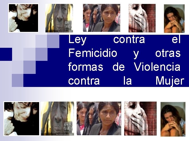 Ley contra el Femicidio y otras formas de Violencia contra la Mujer 15 