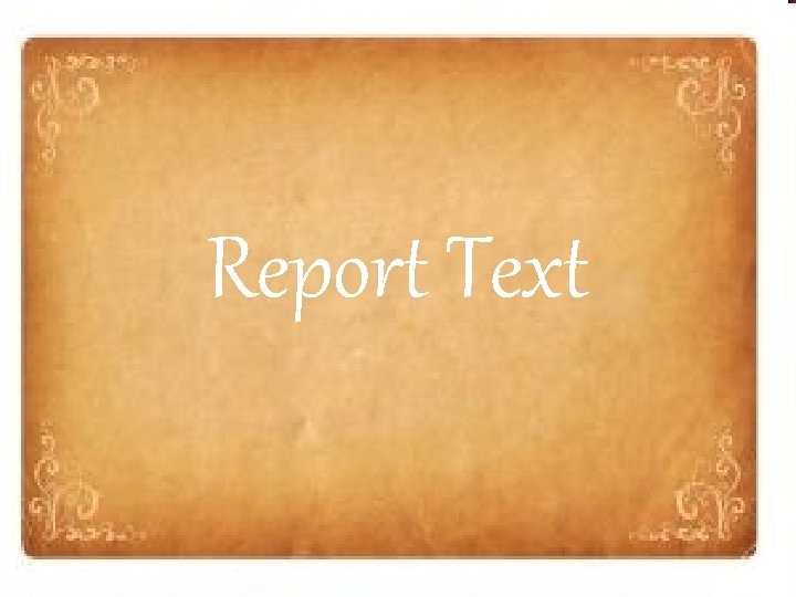 Report Text 