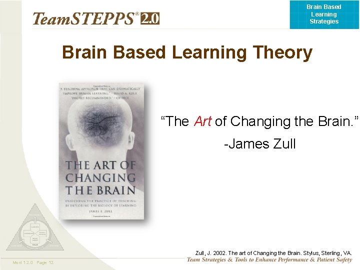 Brain Changing Structure Learning Brain Based Learning Strategies to Improve Team STEPPS