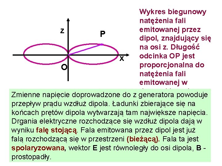 Wykres biegunowy natężenia fali emitowanej przez z P dipol, znajdujący się na osi z.