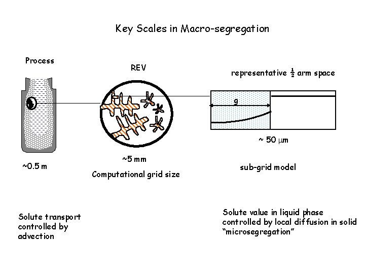 Key Scales in Macro-segregation Process REV representative ½ arm space g solid ~ 50