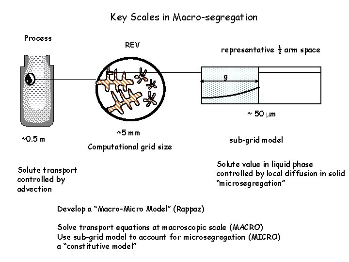 Key Scales in Macro-segregation Process REV representative ½ arm space g solid ~ 50