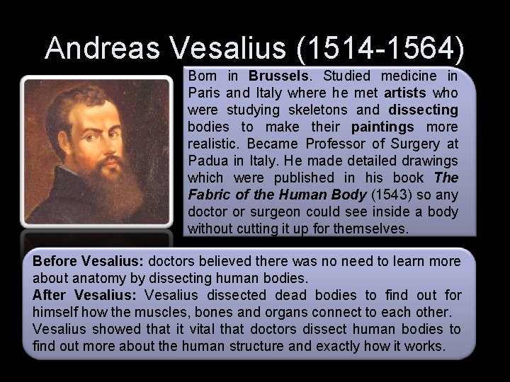 Andreas Vesalius (1514 -1564) Born in Brussels. Studied medicine in Paris and Italy where