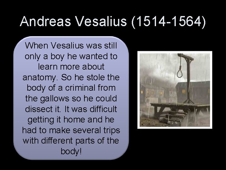 Andreas Vesalius (1514 -1564) When Vesalius was still only a boy he wanted to