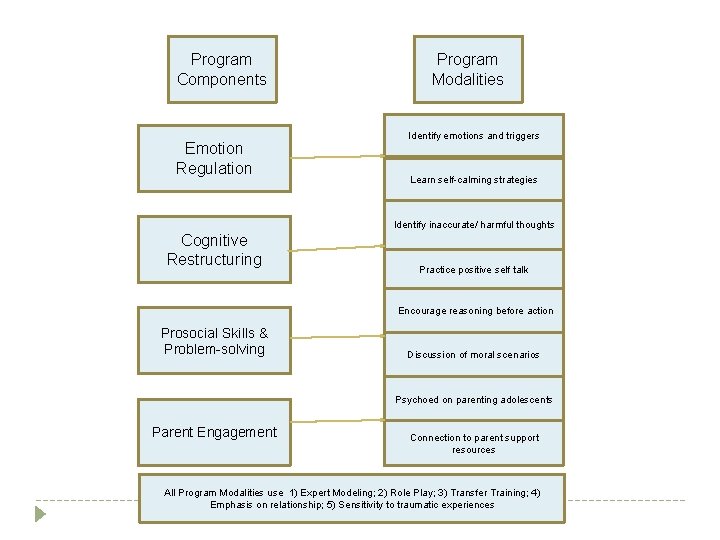 Program Components Emotion Regulation Program Modalities Identify emotions and triggers Learn self-calming strategies Identify