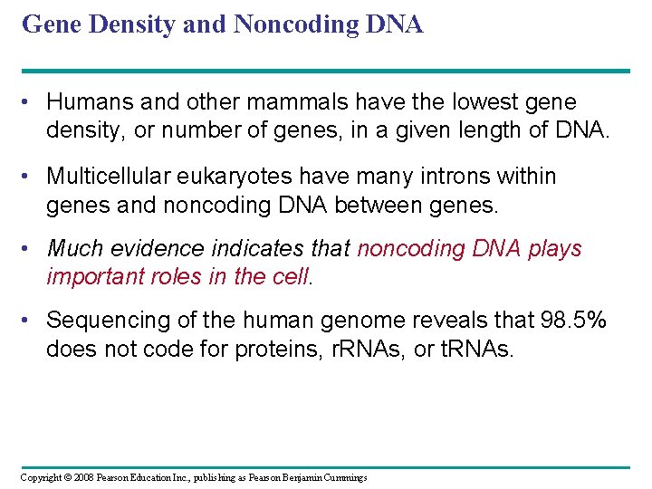 Gene Density and Noncoding DNA • Humans and other mammals have the lowest gene
