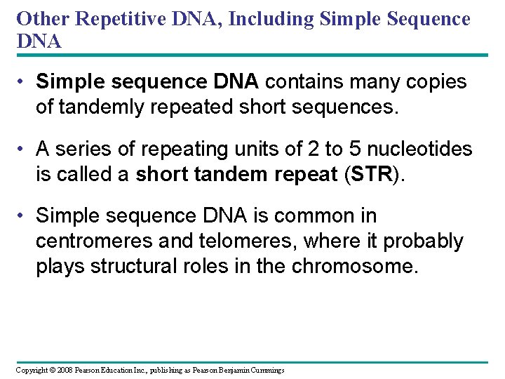 Other Repetitive DNA, Including Simple Sequence DNA • Simple sequence DNA contains many copies