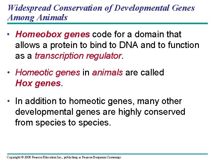 Widespread Conservation of Developmental Genes Among Animals • Homeobox genes code for a domain
