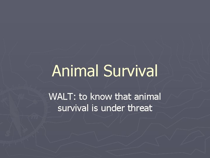 Animal Survival WALT: to know that animal survival is under threat 