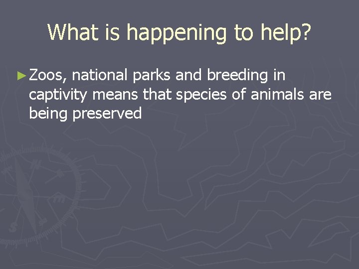 What is happening to help? ► Zoos, national parks and breeding in captivity means