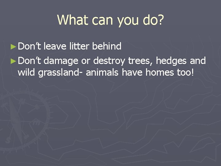 What can you do? ► Don’t leave litter behind ► Don’t damage or destroy