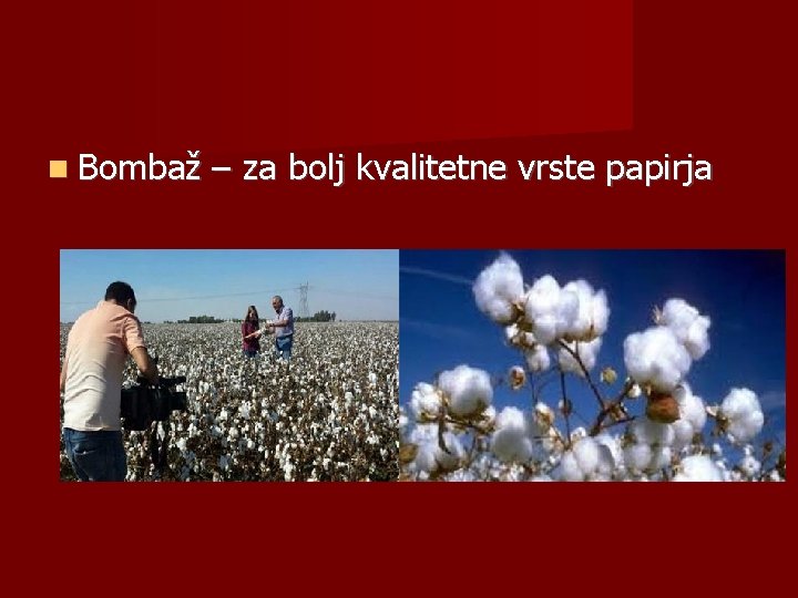  Bombaž – za bolj kvalitetne vrste papirja 