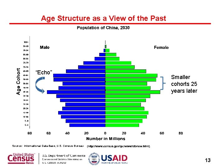 Age Structure as a View of the Past “Echo” Smaller cohorts 25 years later