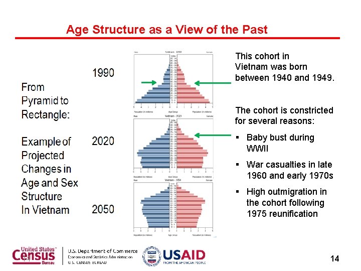 Age Structure as a View of the Past This cohort in Vietnam was born