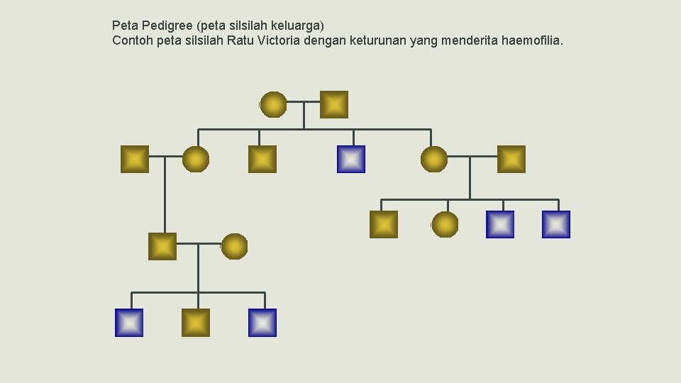 Peta Pedigree (peta silsilah keluarga) Contoh peta silsilah Ratu Victoria dengan keturunan yang menderita