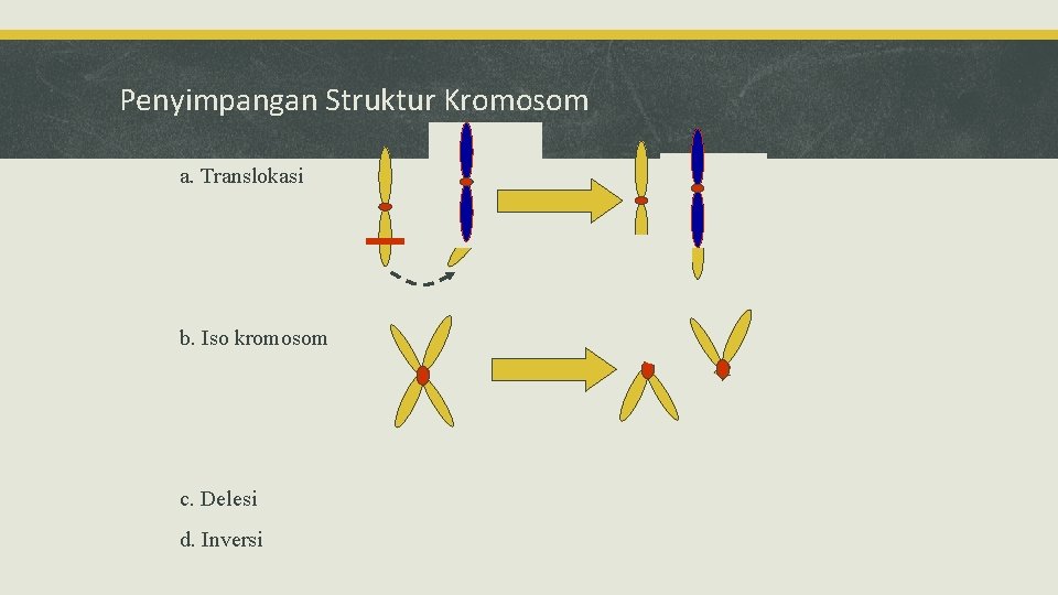 Penyimpangan Struktur Kromosom a. Translokasi b. Iso kromosom c. Delesi d. Inversi 