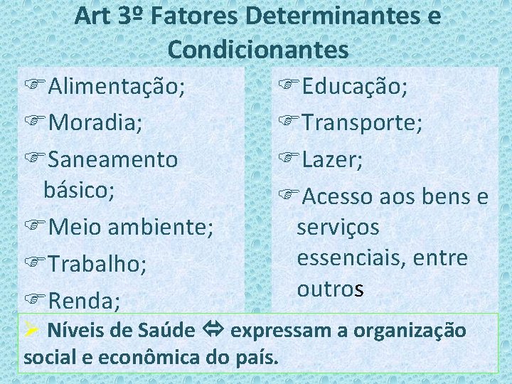 Art 3º Fatores Determinantes e Condicionantes Alimentação; Moradia; Saneamento básico; Meio ambiente; Trabalho; Renda;