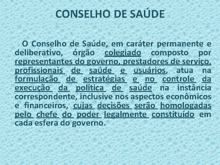 CONSELHO DE SAÚDE O Conselho de Saúde, em caráter permanente e deliberativo, órgão colegiado