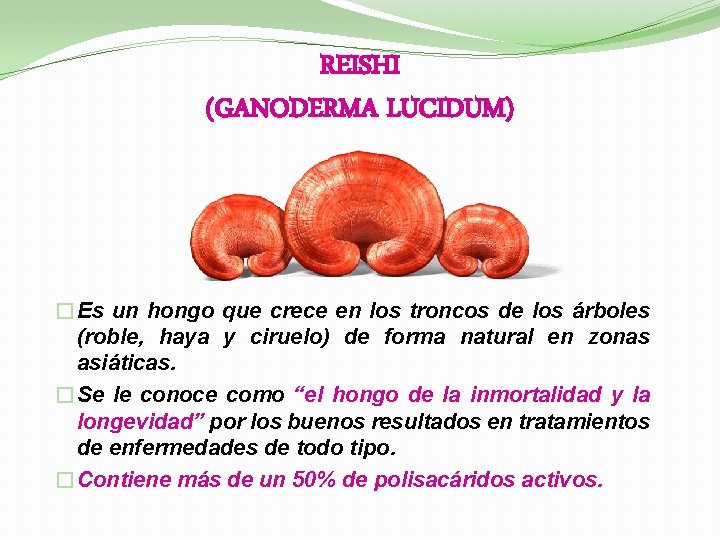 REISHI (GANODERMA LUCIDUM) �Es un hongo que crece en los troncos de los árboles