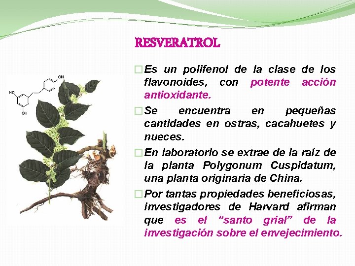 RESVERATROL �Es un polifenol de la clase de los flavonoides, con potente acción antioxidante.