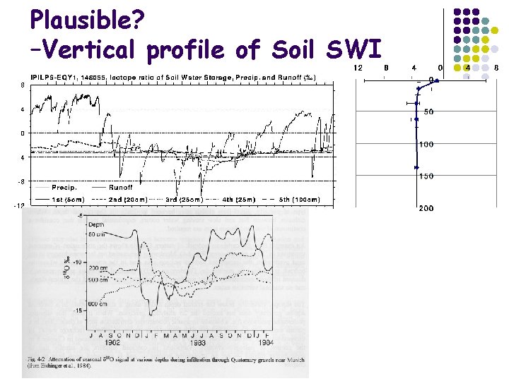 Plausible? –Vertical profile of Soil SWI 