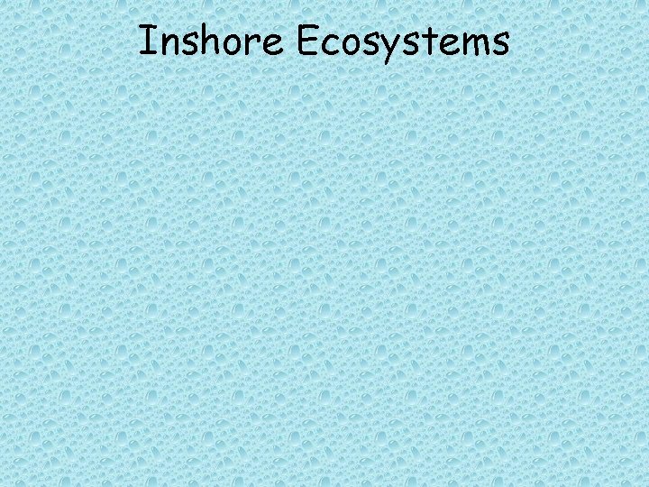 Inshore Ecosystems 