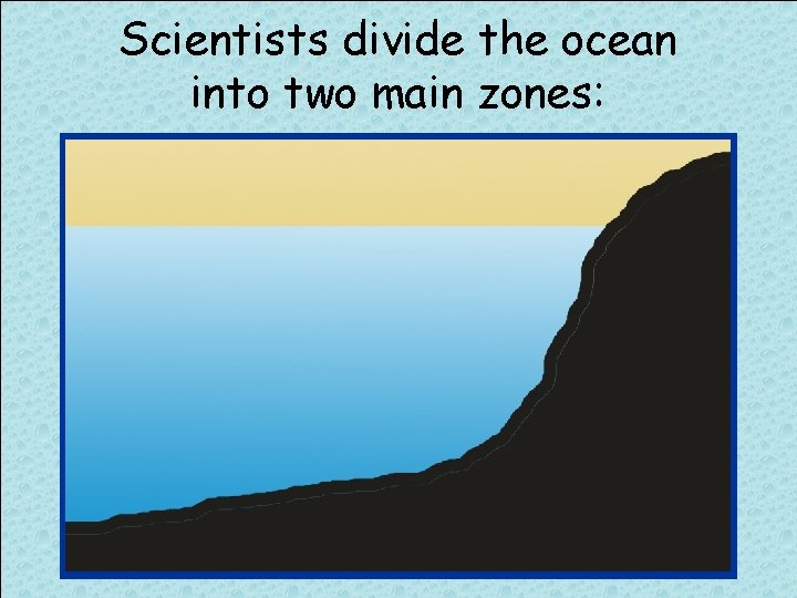 Scientists divide the ocean into two main zones: 