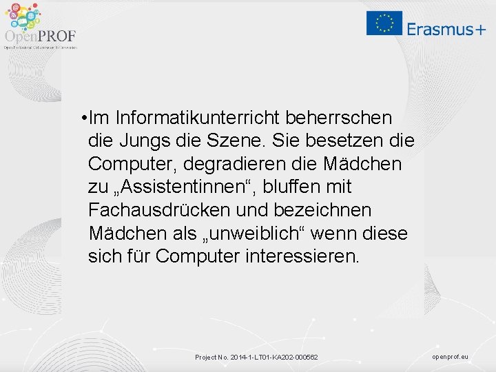  • Im Informatikunterricht beherrschen die Jungs die Szene. Sie besetzen die Computer, degradieren