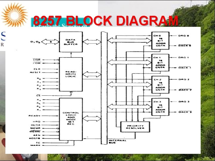 8257 BLOCK DIAGRAM 