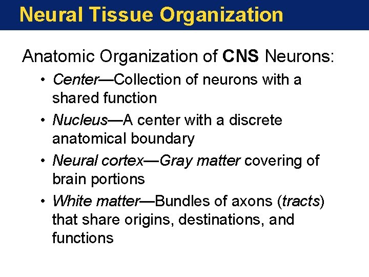 Neural Tissue Organization Anatomic Organization of CNS Neurons: • Center—Collection of neurons with a