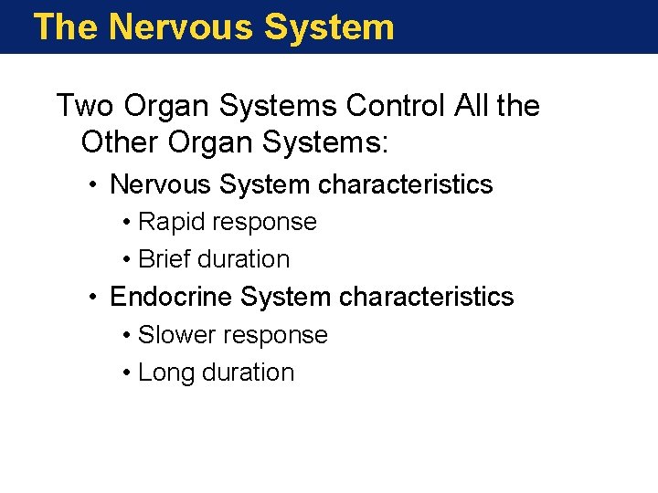 The Nervous System Two Organ Systems Control All the Other Organ Systems: • Nervous