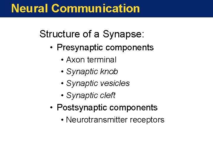 Neural Communication Structure of a Synapse: • Presynaptic components • Axon terminal • Synaptic