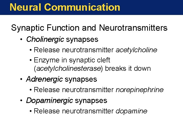 Neural Communication Synaptic Function and Neurotransmitters • Cholinergic synapses • Release neurotransmitter acetylcholine •