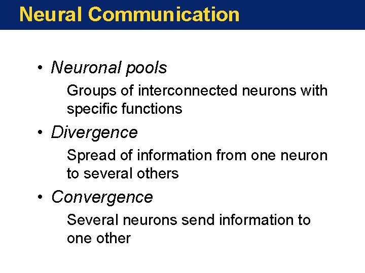 Neural Communication • Neuronal pools Groups of interconnected neurons with specific functions • Divergence