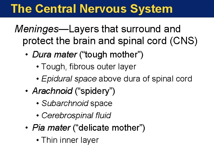 The Central Nervous System Meninges—Layers that surround and protect the brain and spinal cord