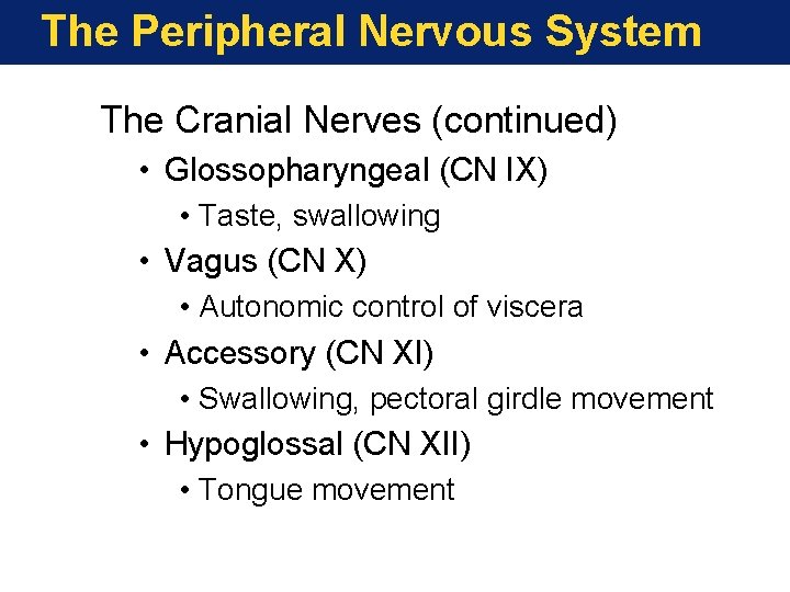 The Peripheral Nervous System The Cranial Nerves (continued) • Glossopharyngeal (CN IX) • Taste,