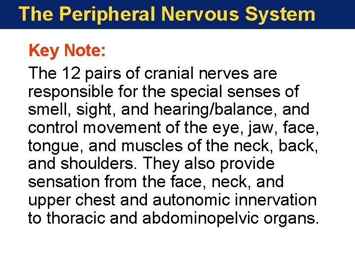 The Peripheral Nervous System Key Note: The 12 pairs of cranial nerves are responsible