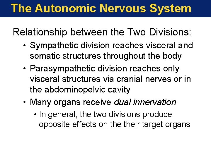 The Autonomic Nervous System Relationship between the Two Divisions: • Sympathetic division reaches visceral
