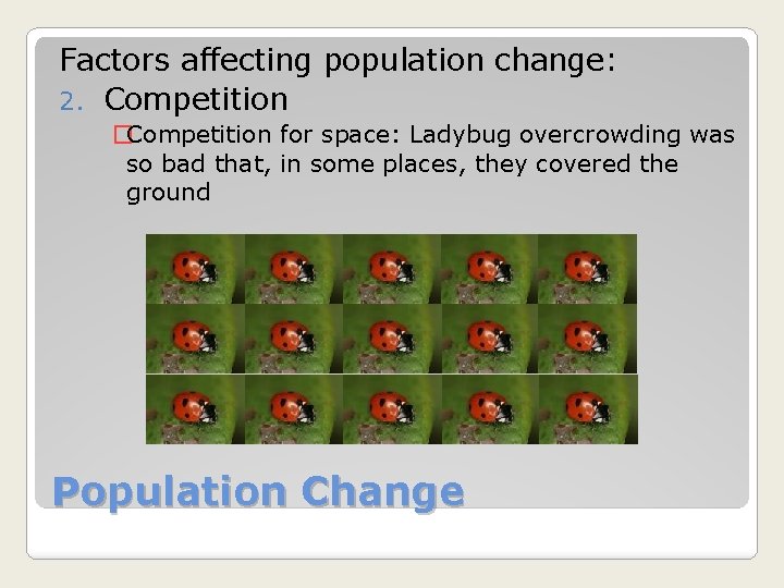 Factors affecting population change: 2. Competition �Competition for space: Ladybug overcrowding was so bad