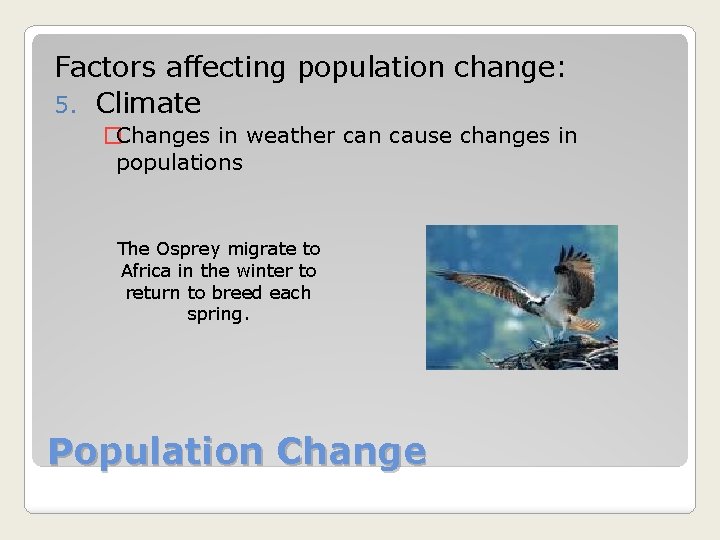 Factors affecting population change: 5. Climate �Changes in weather can cause changes in populations