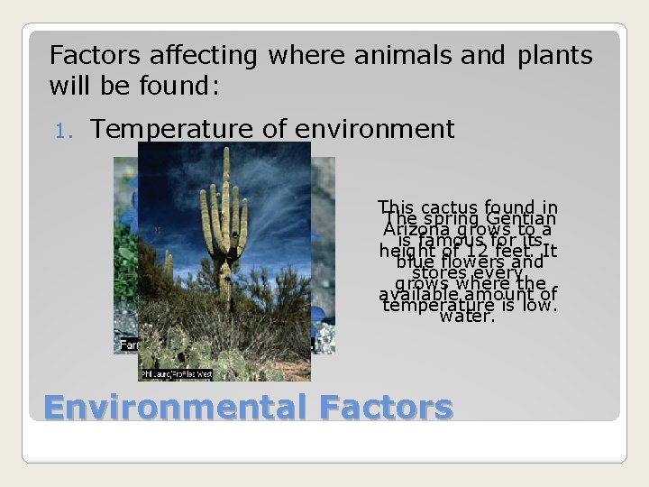 Factors affecting where animals and plants will be found: 1. Temperature of environment This