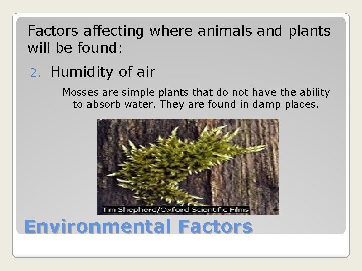 Factors affecting where animals and plants will be found: 2. Humidity of air Mosses