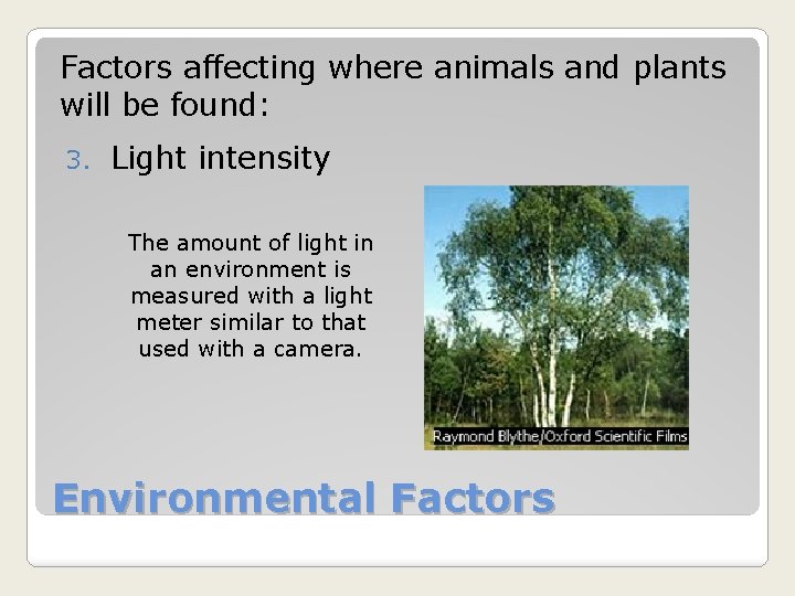 Factors affecting where animals and plants will be found: 3. Light intensity The amount