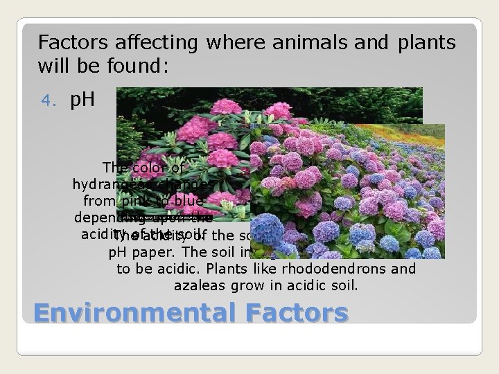 Factors affecting where animals and plants will be found: 4. p. H The color
