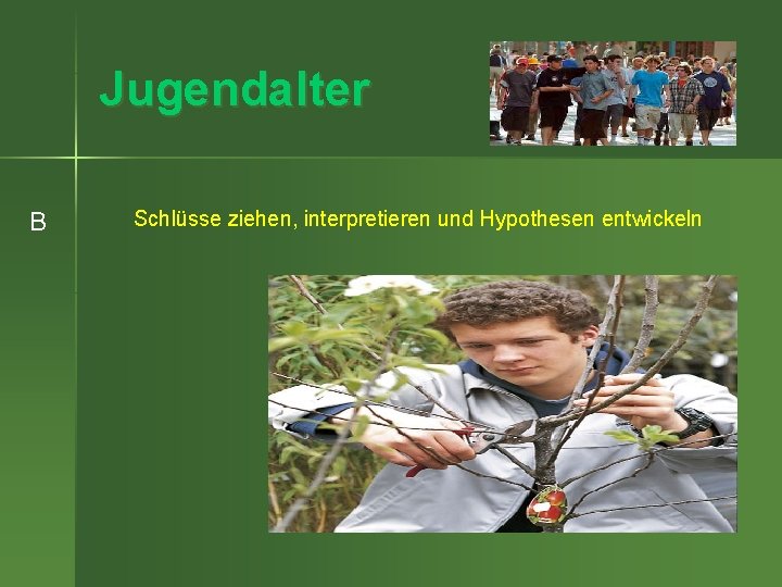 Jugendalter B Schlüsse ziehen, interpretieren und Hypothesen entwickeln 