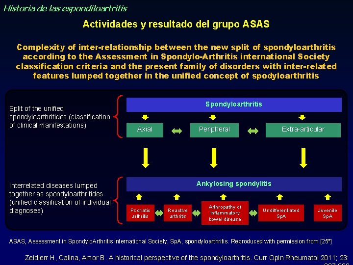 Historia de las espondiloartritis Actividades y resultado del grupo ASAS Complexity of inter-relationship between Historia de las espondiloartritis Actividades y resultado del grupo ASAS Complexity of inter-relationship between